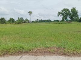  Land for sale in Nong Khayat, Phanat Nikhom, Nong Khayat