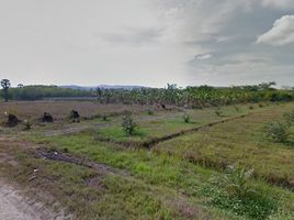  Grundstück zu verkaufen in Hua Sai, Nakhon Si Thammarat, Sai Khao, Hua Sai
