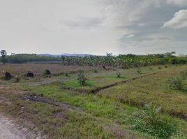  Land for sale in Nakhon Si Thammarat, Sai Khao, Hua Sai, Nakhon Si Thammarat