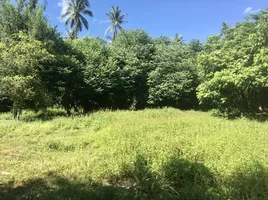  Land for sale in Maenam, Surat Thani, Maenam