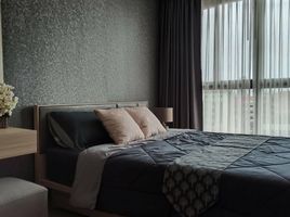 1 Schlafzimmer Wohnung zu verkaufen im Ideo O2, Bang Na, Bang Na, Bangkok