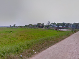  Land for sale in Si Chiang Mai, Nong Khai, Phan Phrao, Si Chiang Mai