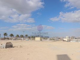  Land for sale at Mulberry, Park Heights