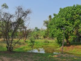  Land for sale in Mueang Chiang Rai Chiang Rai, Huai Sak