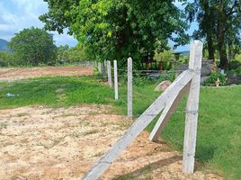  Land for sale in Central Festival Samui, Bo Phut, Bo Phut