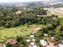  Grundstück zu verkaufen in Panama City, Panama, Pedregal