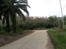  Land for sale in Chumphon, Thung Luang, Lamae, Chumphon