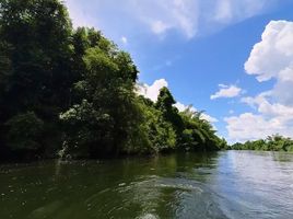  Grundstück zu verkaufen in Mueang Kanchanaburi, Kanchanaburi, Wang Dong, Mueang Kanchanaburi