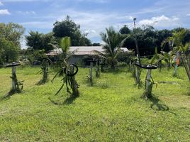  Grundstück zu verkaufen in Samrong, Ubon Ratchathani, Samrong