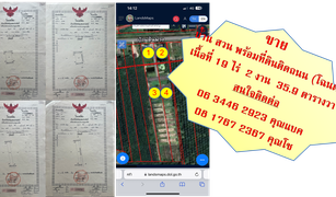 Pa Bon, Phatthalung တွင် N/A မြေ ရောင်းရန်အတွက်