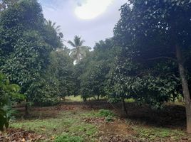  Land for sale in Pa Phayom, Phatthalung, Lan Khoi, Pa Phayom