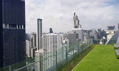 Photos 3 of the Communal Garden Area at Celes Asoke