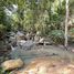  Land for sale in Maenam, Koh Samui, Maenam