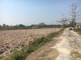  Land for sale in Pa Phai, San Sai, Pa Phai