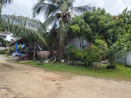  Warenhaus zu vermieten in Krabi, Pak Nam, Mueang Krabi, Krabi