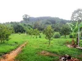  Grundstück zu verkaufen in Lom Sak, Phetchabun, Bung Namtao