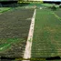  Land for sale in Nikhom Phatthana Rayong, Makham Khu