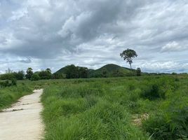  Grundstück zu verkaufen in Hua Hin, Prachuap Khiri Khan, Nong Phlap