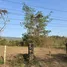  Land for sale in On Nuea, Chiang Mai, On Nuea, Mae On