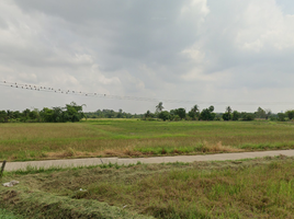  Land for sale in Sila, Mueang Khon Kaen, Sila