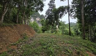 N/A Land for sale in Ao Nang, Krabi 