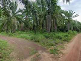 在Khlong Hoi Khong, 宋卡出售的 土地, Khlong Hoi Khong, Khlong Hoi Khong