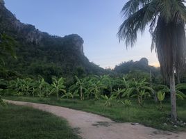  Grundstück zu verkaufen in Cha-Am, Phetchaburi, Na Yang