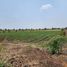  Land for sale in Nong Bun Mak Nakhon Ratchasima, Nong Bunnak, Nong Bun Mak, Nakhon Ratchasima