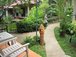 1 Bedroom Villa for rent at Floraville Phuket, Chalong, Phuket Town, Phuket, Thailand