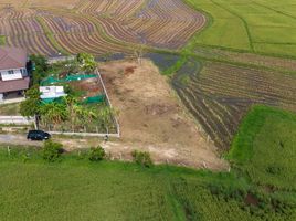 ขายที่ดิน ใน ดอยสะเก็ด เชียงใหม่, สันปูเลย