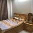 Studio Villa zu verkaufen in Thu Duc, Ho Chi Minh City, Hiep Binh Phuoc, Thu Duc