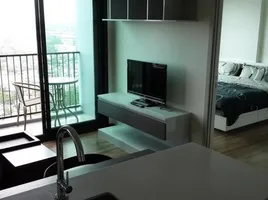 1 Bedroom Condo for rent at Wyne Sukhumvit, Phra Khanong, Khlong Toei