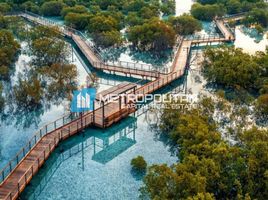 3 Schlafzimmer Villa zu verkaufen im Al Jubail Island, Saadiyat Beach