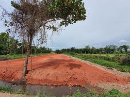  Grundstück zu verkaufen in Mueang Surat Thani, Surat Thani, Bang Sai