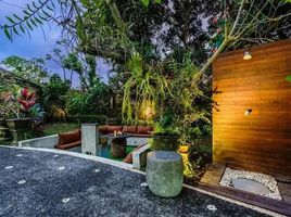 3 Schlafzimmer Haus zu verkaufen in Tabanan, Bali, Kediri