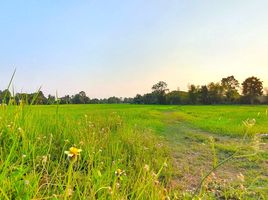  Land for sale in Mueang Kalasin, Kalasin, Bueng Wichai, Mueang Kalasin