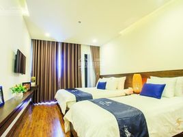 17 Schlafzimmer Haus zu verkaufen in Da Lat, Lam Dong, Ward 2, Da Lat