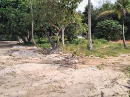  Земельный участок for sale in Ko Kaeo, Пхукет Тощн, Ko Kaeo