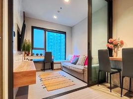 1 Schlafzimmer Wohnung zu verkaufen im Life Asoke Rama 9, Makkasan