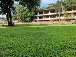  Land for sale in Chang Khlan, Chiang Mai, Chang Khlan