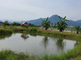  Земельный участок for sale in Loei, A Hi, Tha Li, Loei