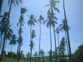  Land for sale in Surat Thani, Maenam, Koh Samui, Surat Thani