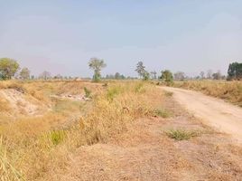  Grundstück zu verkaufen in Doem Bang Nang Buat, Suphan Buri, Bo Kru, Doem Bang Nang Buat