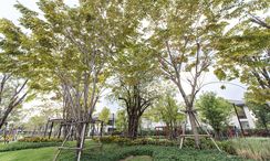 Photos 2 of the Communal Garden Area at Setthasiri Phahol-Watcharapol