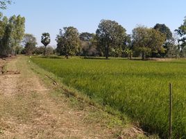  Land for sale in Maha Sarakham, Khwao Yai, Kantharawichai, Maha Sarakham