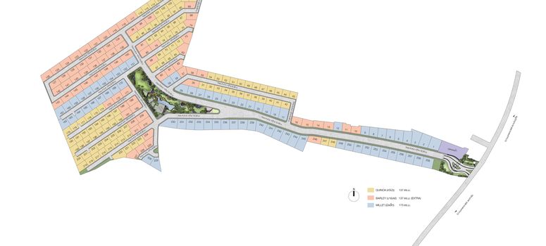 Master Plan of อณาสิริ ป่าคลอก - Photo 1