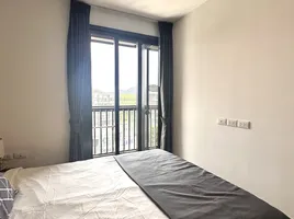 คอนโด 1 ห้องนอน ให้เช่า ในโครงการ เดอะ เบส เซ็นทรัล ภูเก็ต, วิชิต