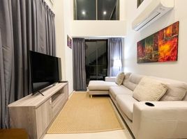 2 Bedroom Condo for rent at The Tree Sukhumvit 64, Bang Chak