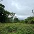  Land for sale in Pong Yaeng, Mae Rim, Pong Yaeng