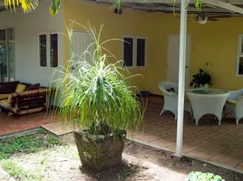 4 Schlafzimmer Haus zu verkaufen in Doi Saket, Chiang Mai, Mae Pong, Doi Saket, Chiang Mai, Thailand